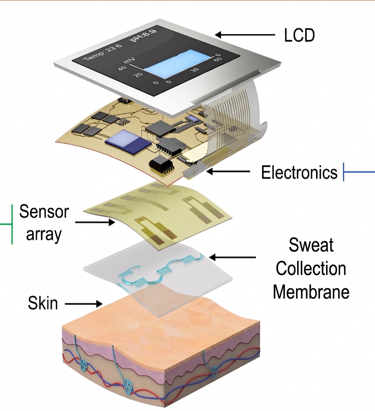 FemSync sensor: LCD, electronics, sensor array, sweat collection membrane, skin